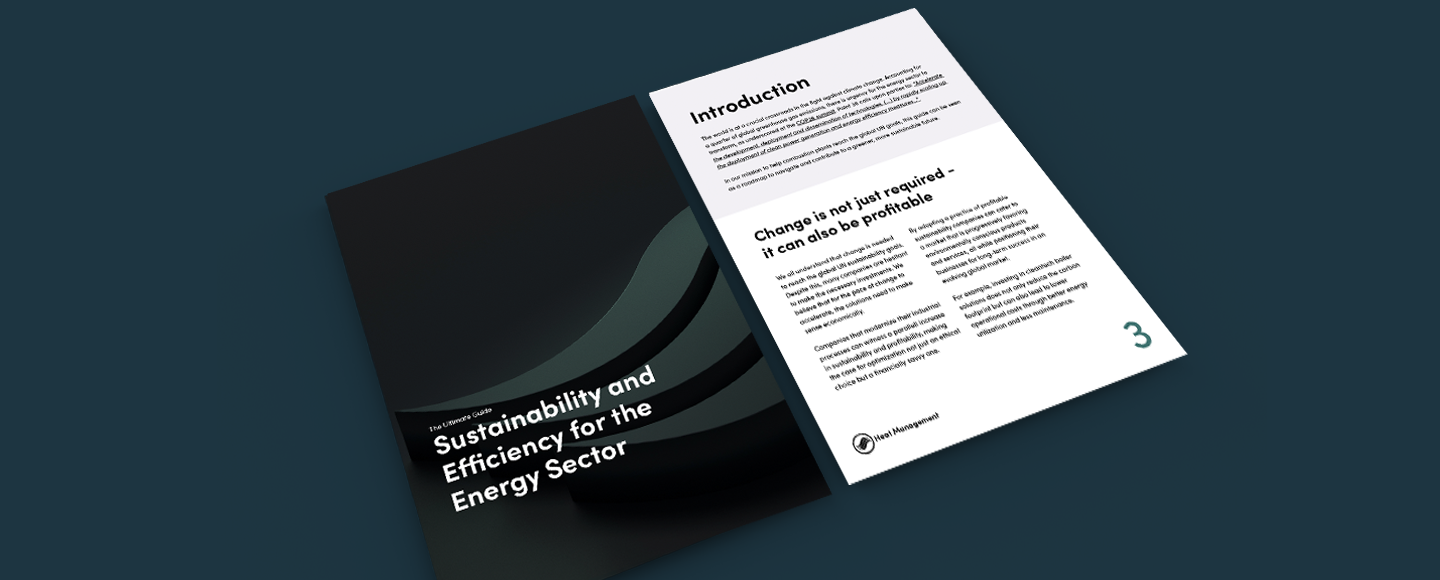 Guide_Sustainability-and-efficiency-for-the-energy-sector